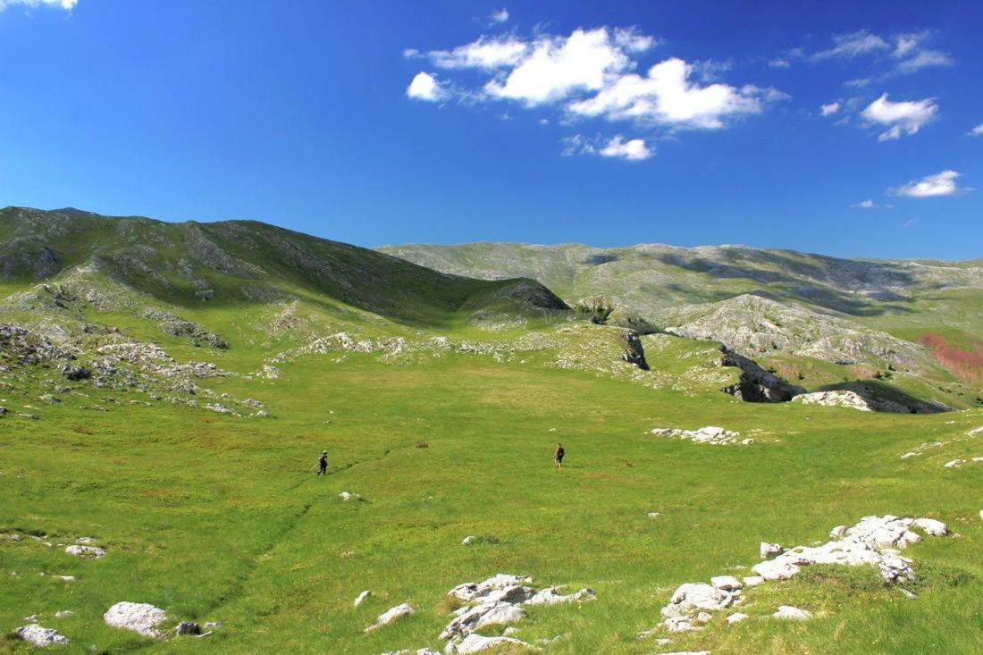 Forest Soul Deluxe Apartments Bjelašnica Εξωτερικό φωτογραφία
