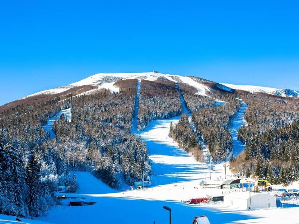 Forest Soul Deluxe Apartments Bjelašnica Εξωτερικό φωτογραφία